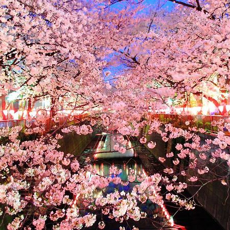 Coto Tokyo Shibuya Daire Dış mekan fotoğraf