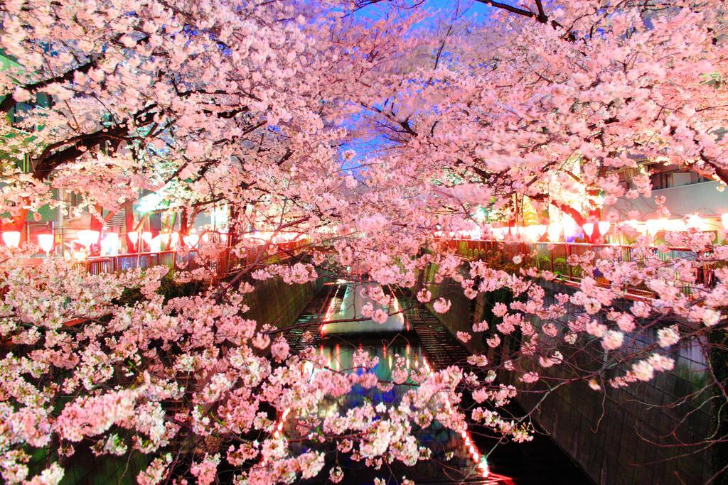 Coto Tokyo Shibuya Daire Dış mekan fotoğraf