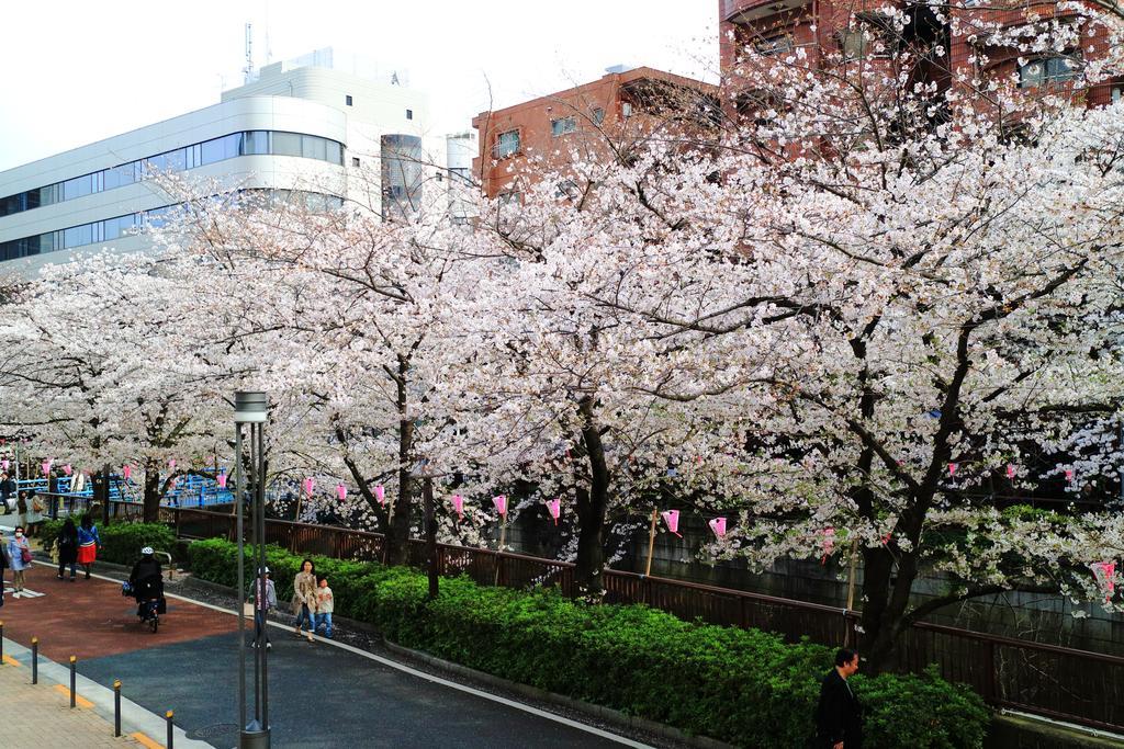 Coto Tokyo Shibuya Daire Dış mekan fotoğraf